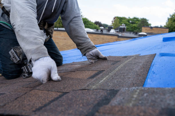 Best Roof Gutter Cleaning  in Susquehanna Trails, PA